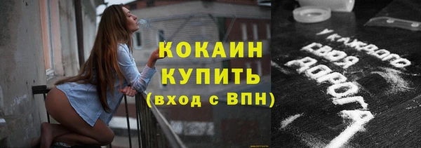 PSILOCYBIN Вяземский