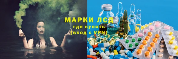 PSILOCYBIN Вяземский