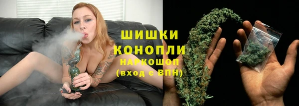 PSILOCYBIN Вяземский