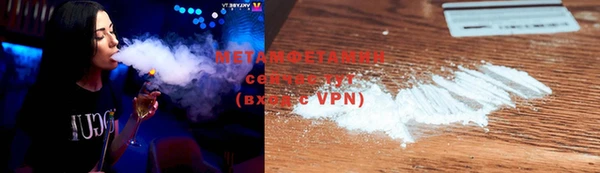 PSILOCYBIN Вяземский