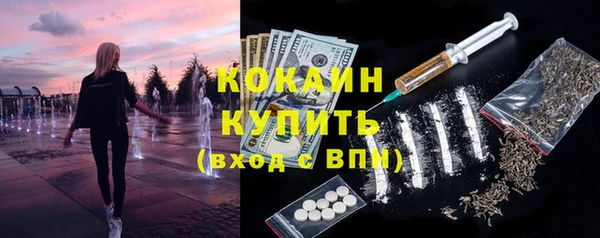 PSILOCYBIN Вяземский